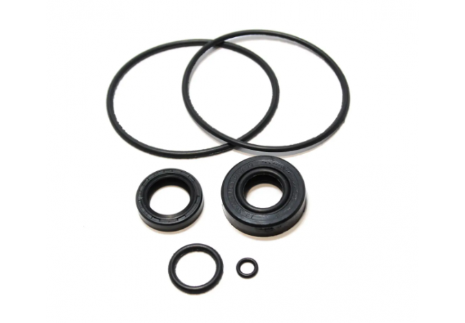 Ремкомплект для насоса-дозатора  XY (SK4151370100)